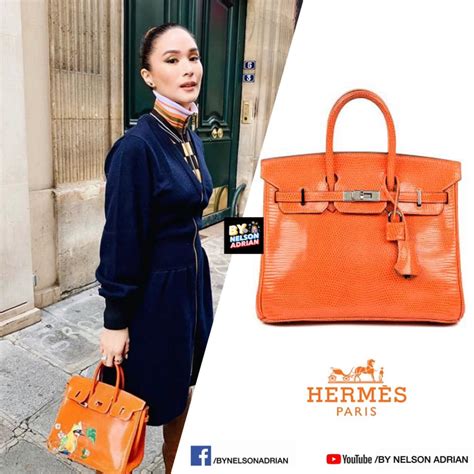 himalayan hermes heart evangelista|all of heart evangelista.